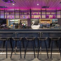 Bar stools with pink lighting and decorative swan