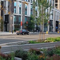 Nature in action - the Royal Docks rain garden