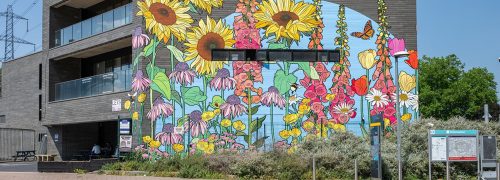 Royal Docks Originals unveils new mural by Graphic Rewilding