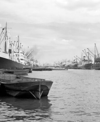 Discover our neighbourhoods