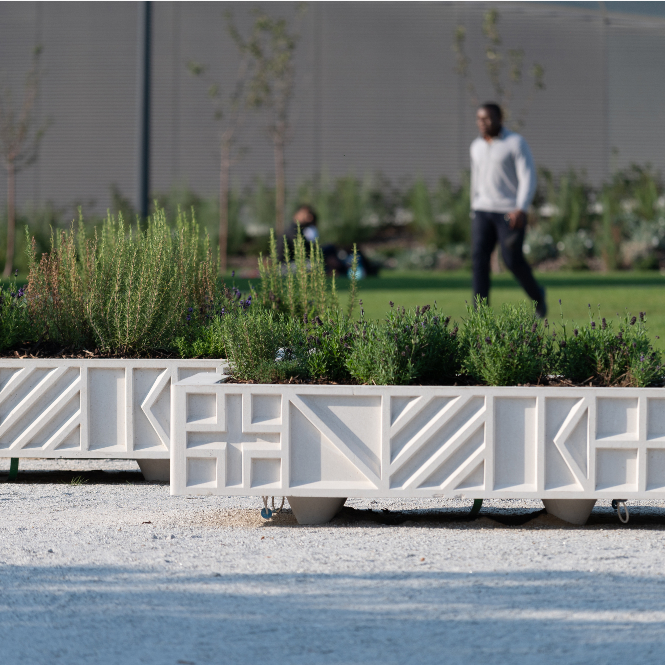 See all we have to offer